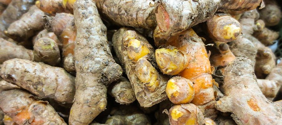 Why is Turmeric a super herb?