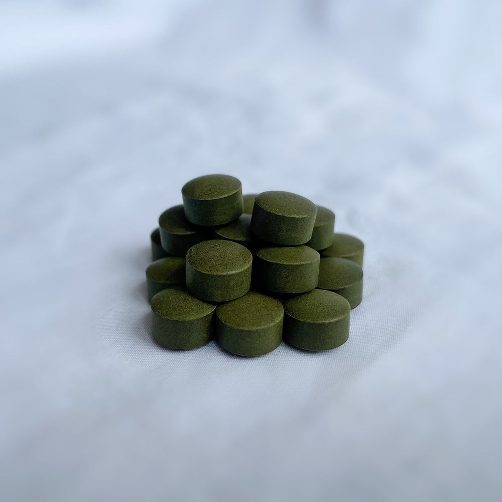 
                  
                    Close up of Fermented Chlorella Tablets
                  
                